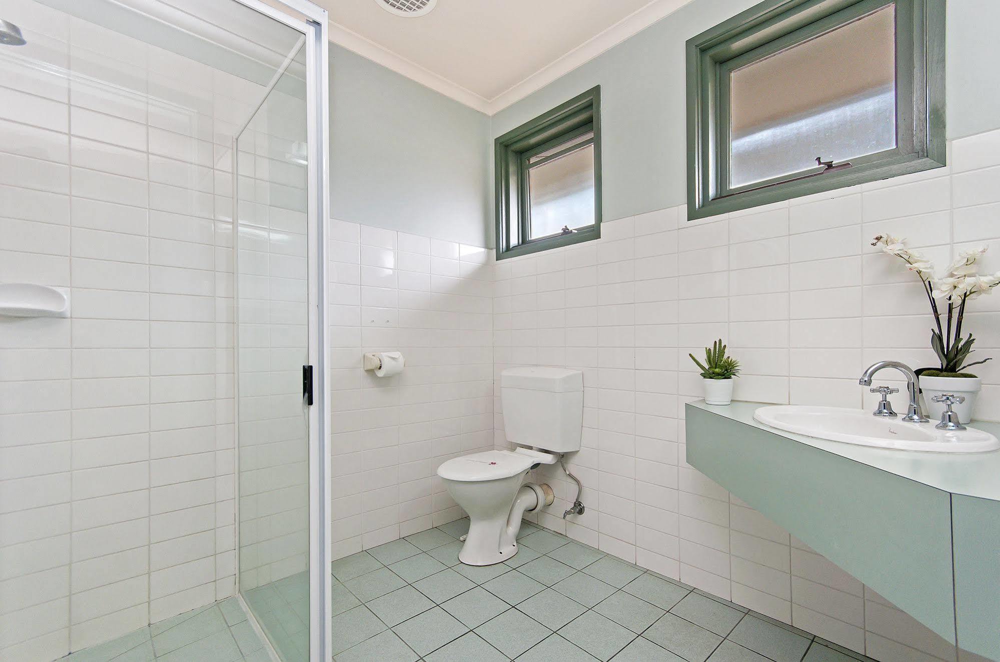 Melaleuca 3* Portland