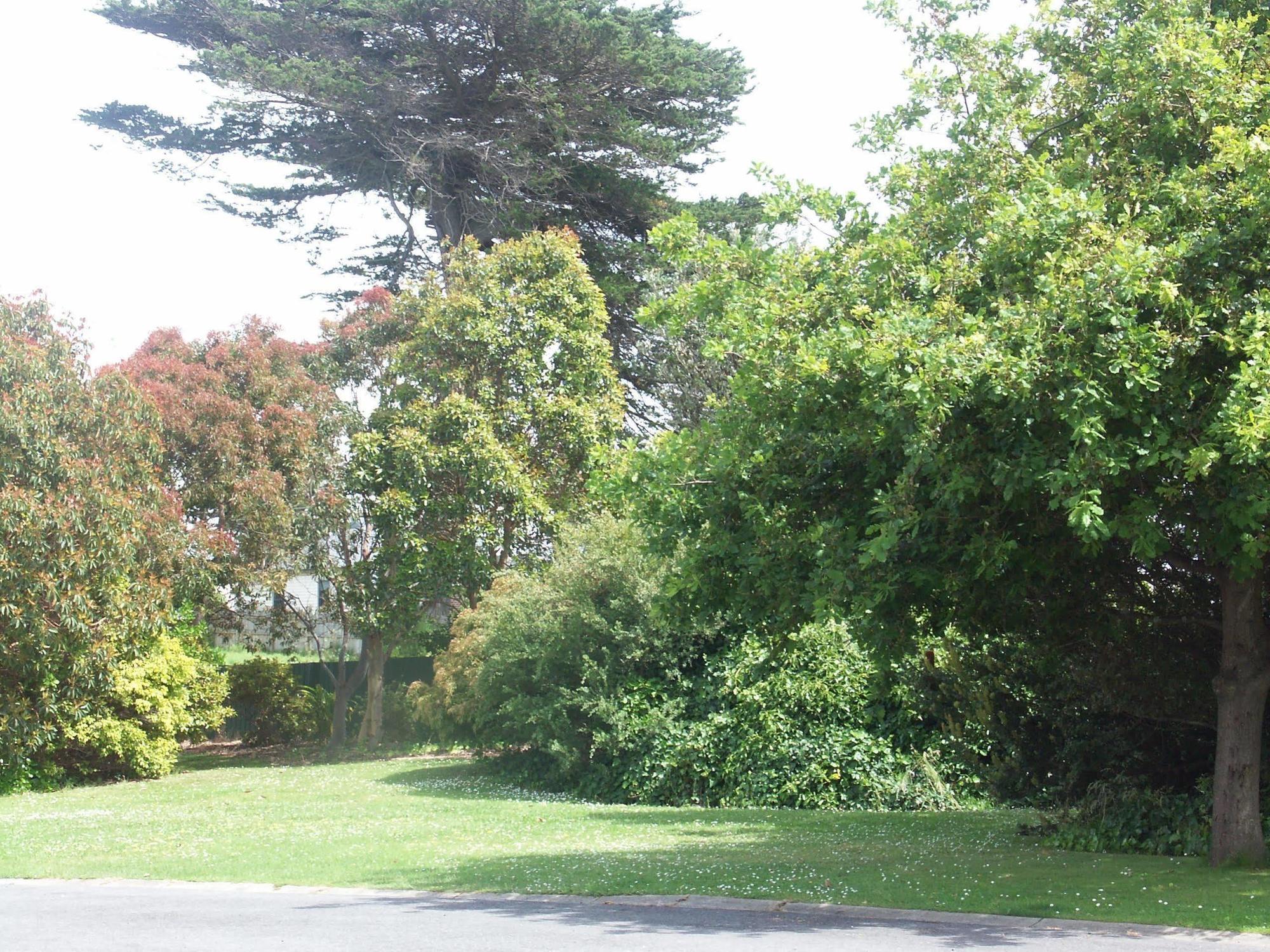 Melaleuca Motel
